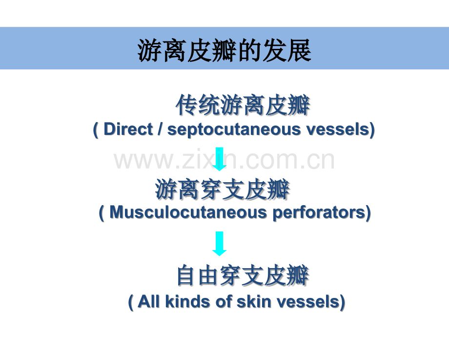 小腿穿支皮瓣的临床应用新高压缩版.ppt_第2页