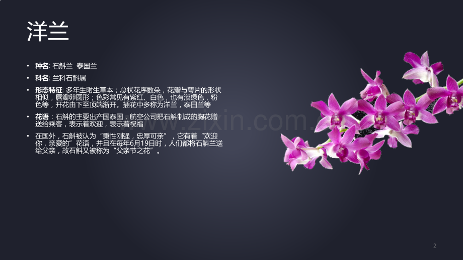 花艺花卉花材知识科普大全.ppt_第2页