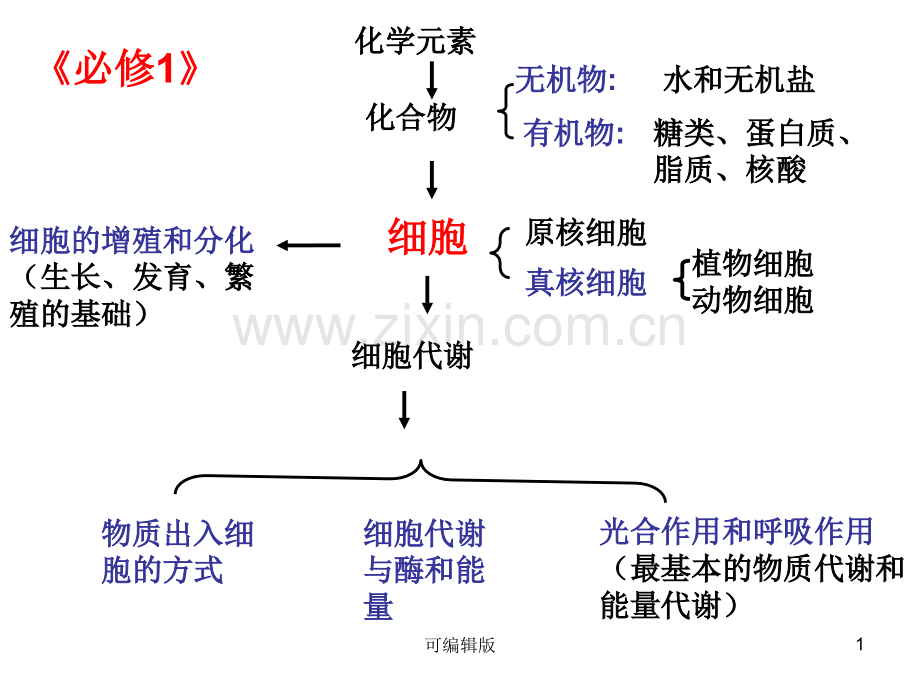 细胞的增殖与分化(1).ppt_第1页
