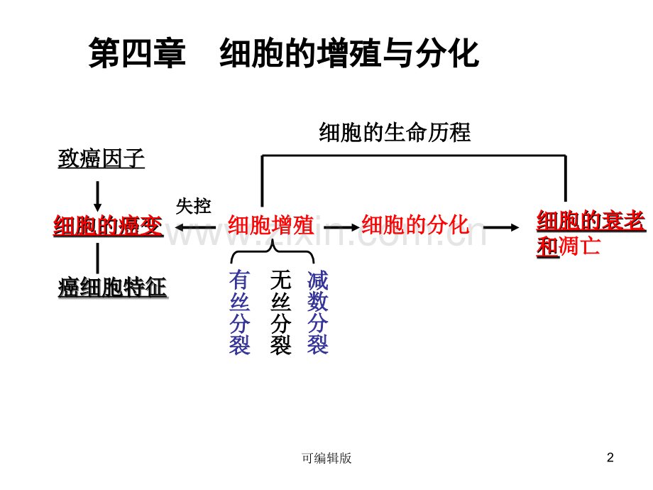 细胞的增殖与分化(1).ppt_第2页