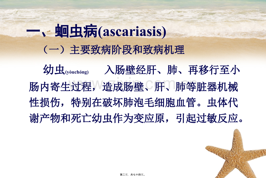 二讲肠道寄生线虫.ppt_第2页