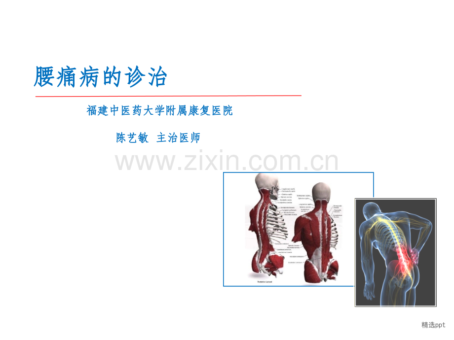 腰痛病的诊治.ppt_第1页