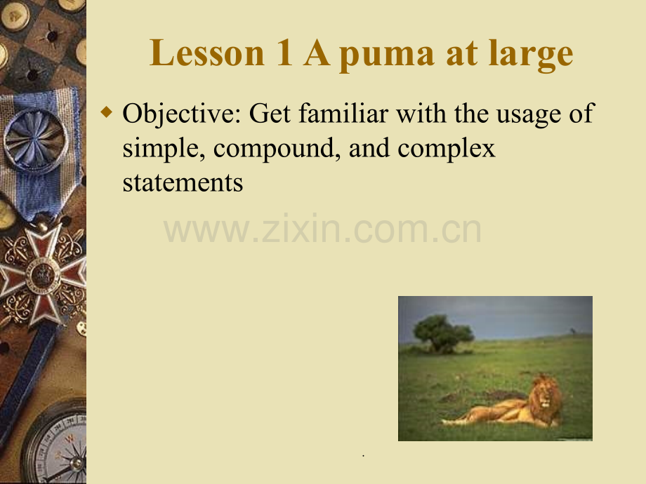 Lesson-1-A-puma-at-large.ppt_第1页