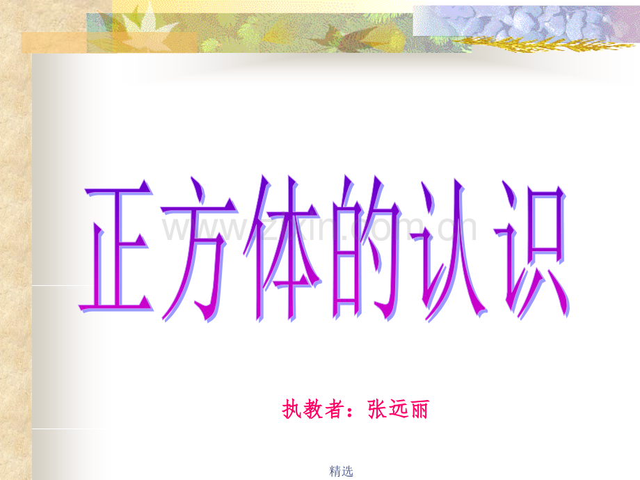 人教版正方体的认识1.ppt_第1页