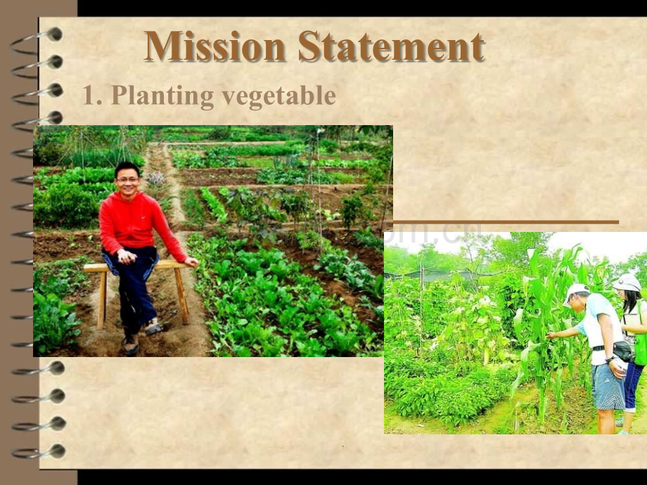商业文化1.ppt_第1页