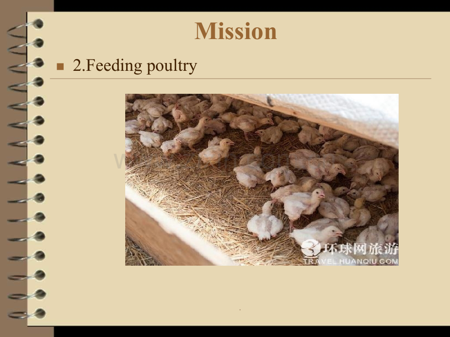 商业文化1.ppt_第2页