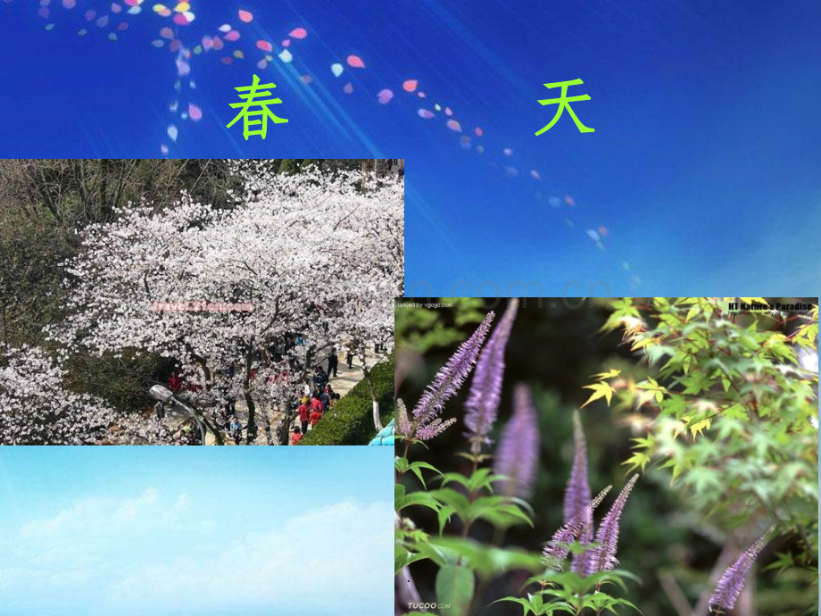 教科版科学四年级下册第二单元油菜花开了.ppt_第1页