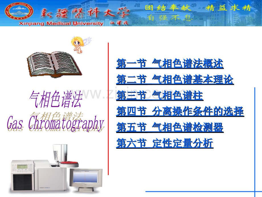 气相色谱分析法.ppt_第2页