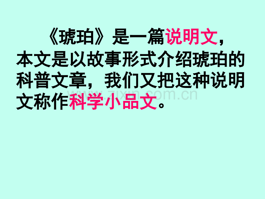 《琥珀》.ppt_第2页