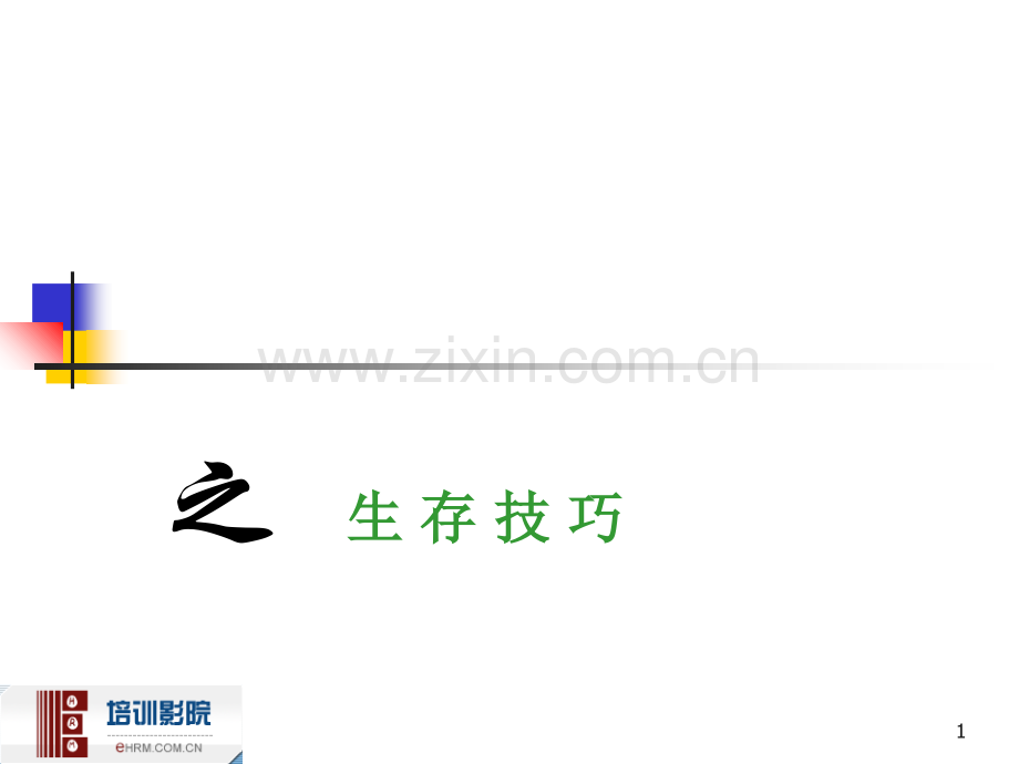 生存技巧.ppt_第1页