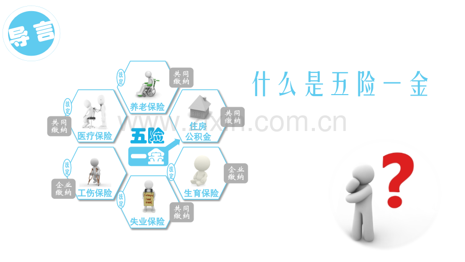 五险一金解读.pptx_第2页