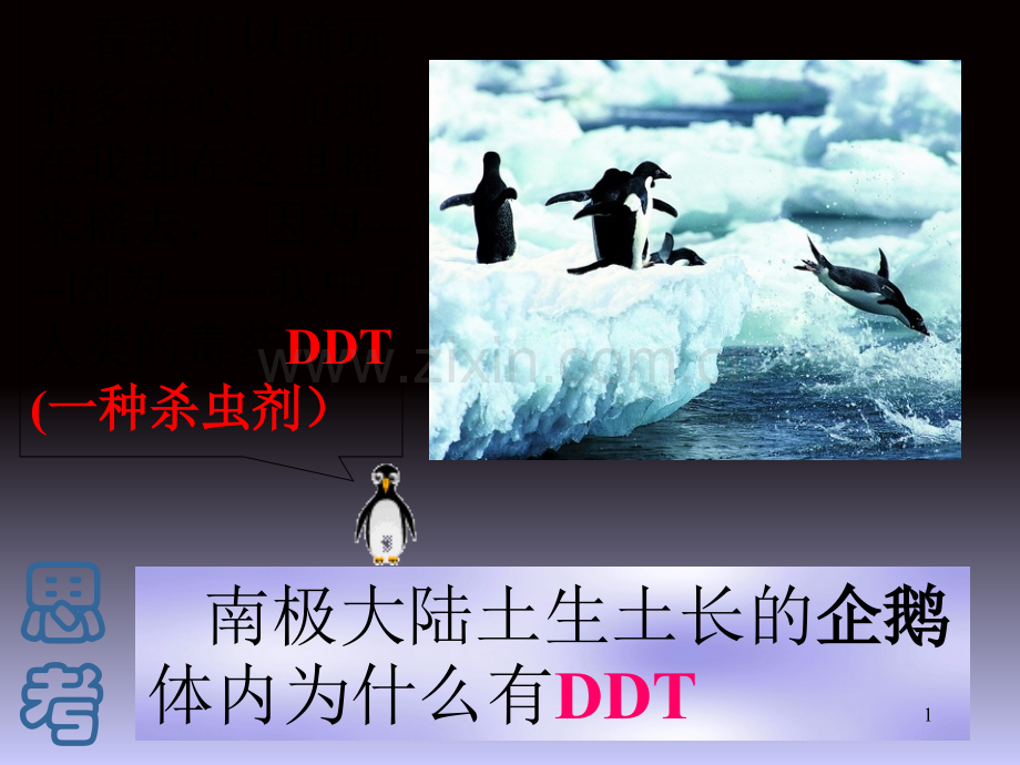 高一地理洋流.ppt_第1页