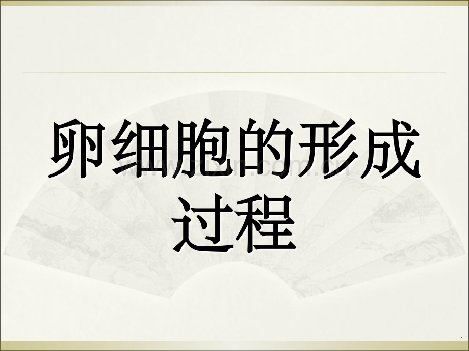 卵细胞的形成过程.ppt_第1页