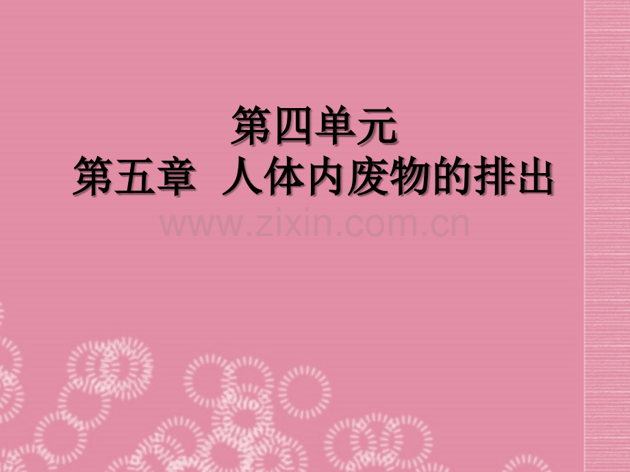 人体内废物的排出优质.ppt_第1页