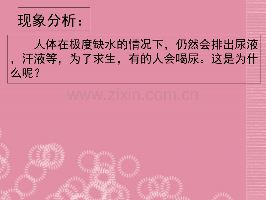 人体内废物的排出优质.ppt_第2页