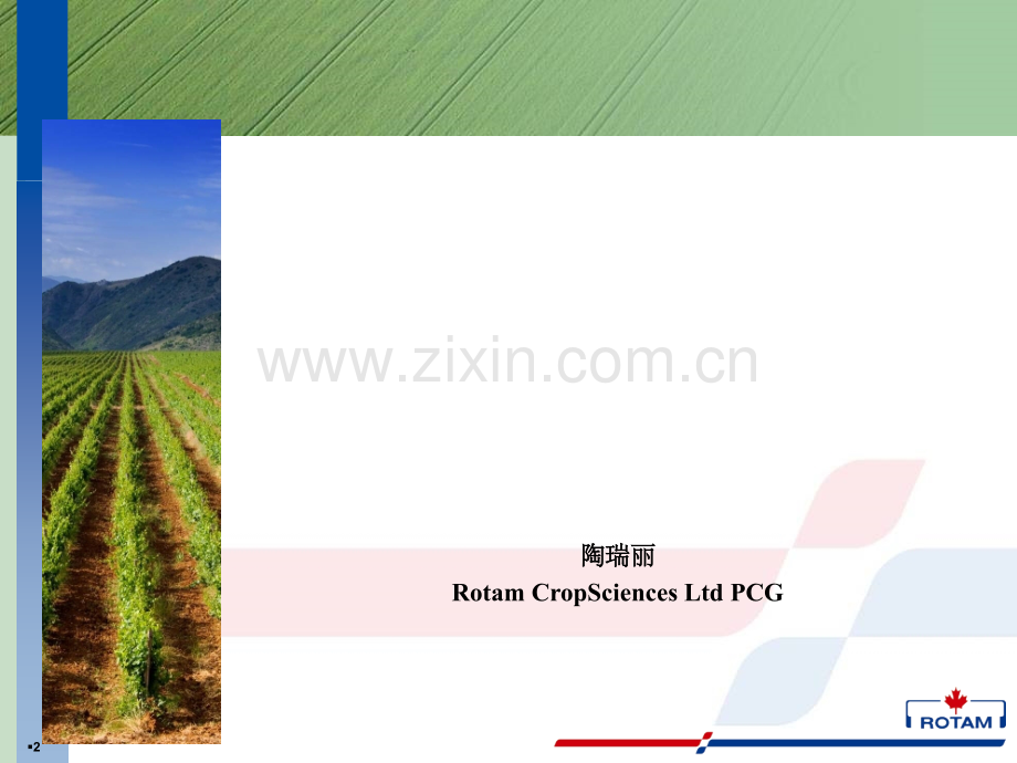常见化合物质谱解析.ppt_第2页