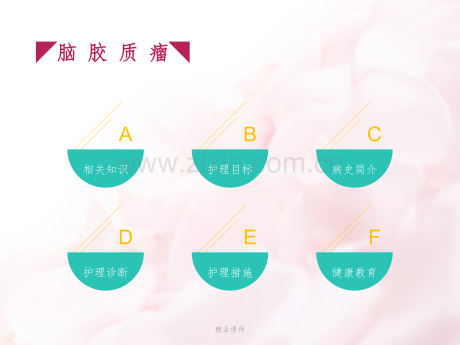 脑胶质瘤护理查房.pptx_第2页