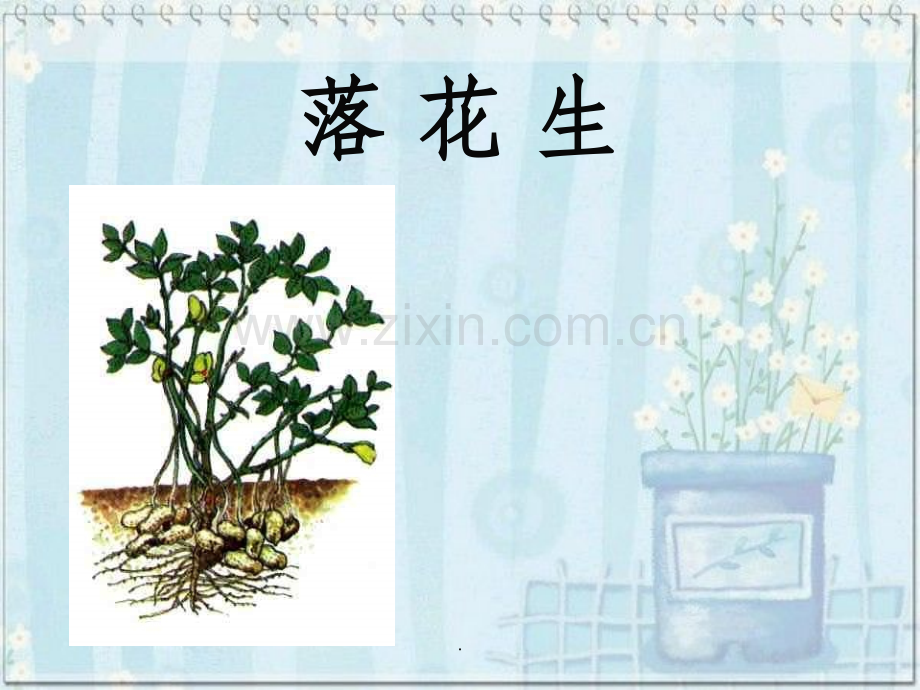 落花生说课.ppt_第1页