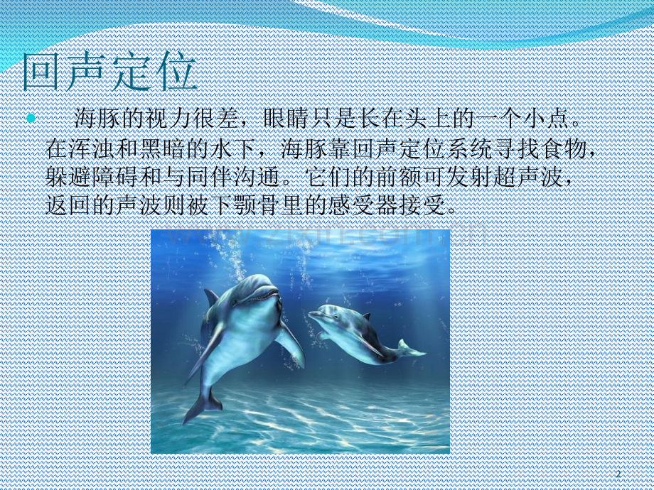 科学小故事.ppt_第2页