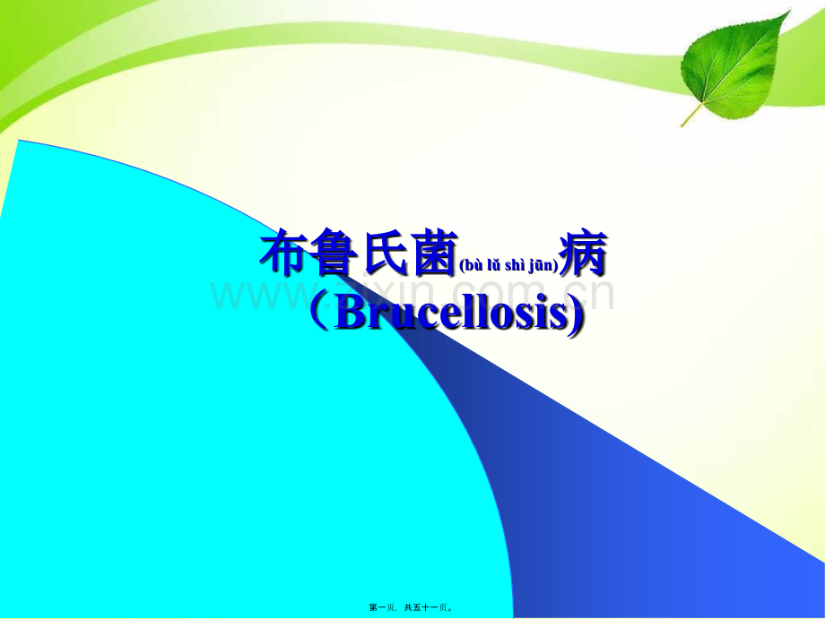 布鲁氏菌病Brucellosis.ppt_第1页