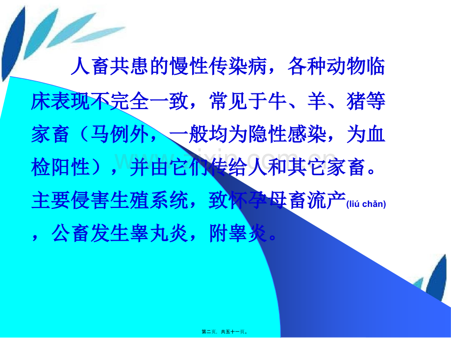 布鲁氏菌病Brucellosis.ppt_第2页