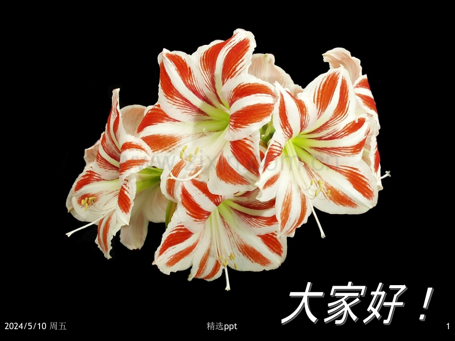 血液稀释.ppt_第1页