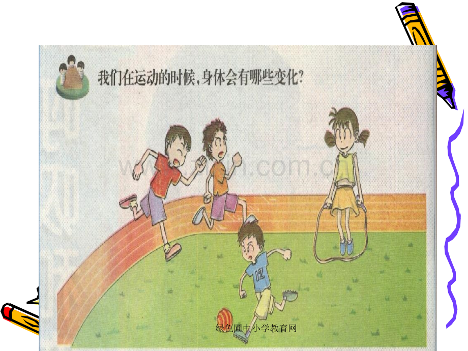 五年级上册科学测量呼吸和心跳0.ppt_第2页