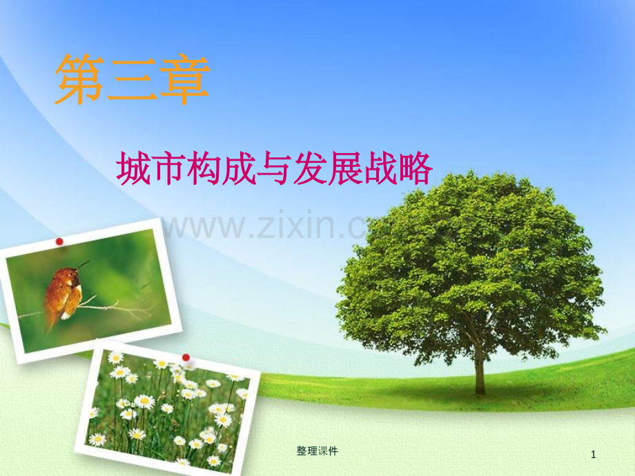 城市构成与发展战略.ppt_第1页