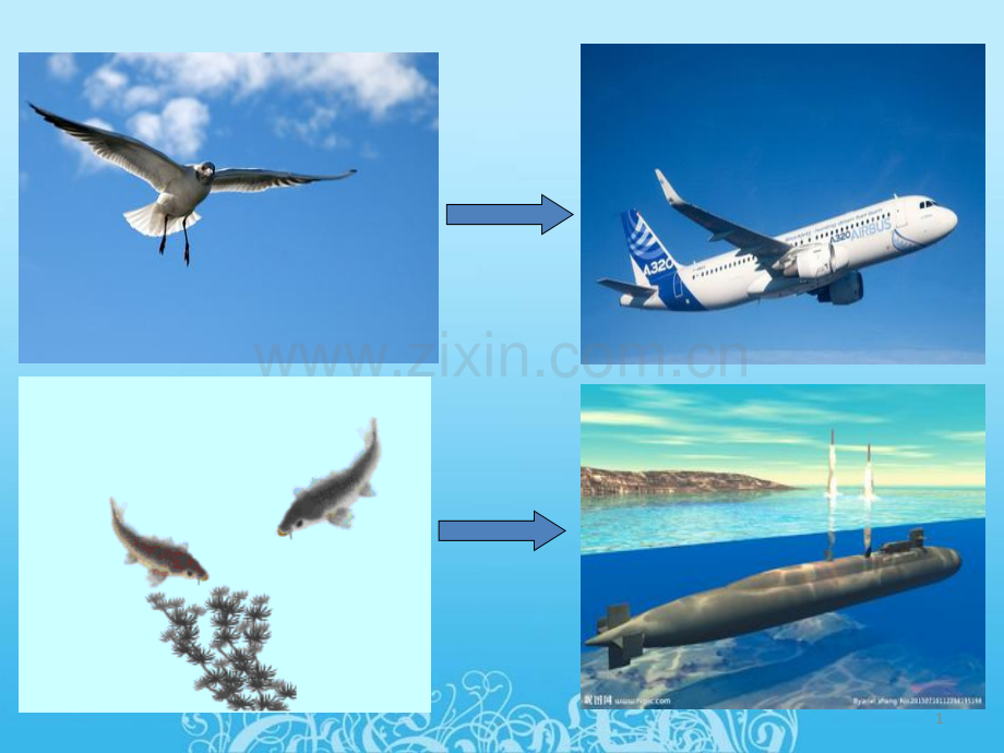 阅读想象的文章.ppt_第1页