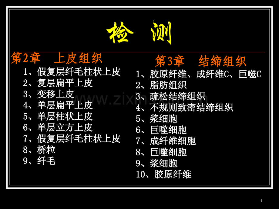 组织学与胚胎学实验考试实验2上皮结缔组织.ppt_第1页