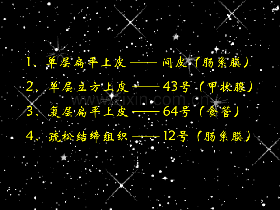 组织学与胚胎学实验考试实验2上皮结缔组织.ppt_第2页