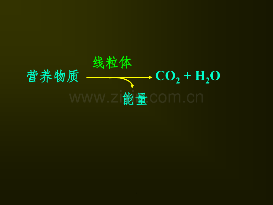 医学检验系.ppt_第2页