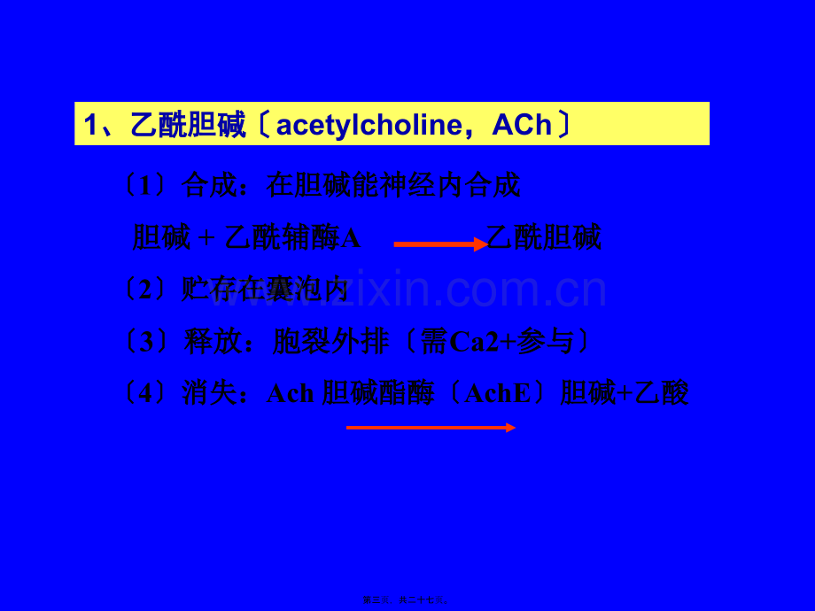 传出神经系统药理.pptx_第2页