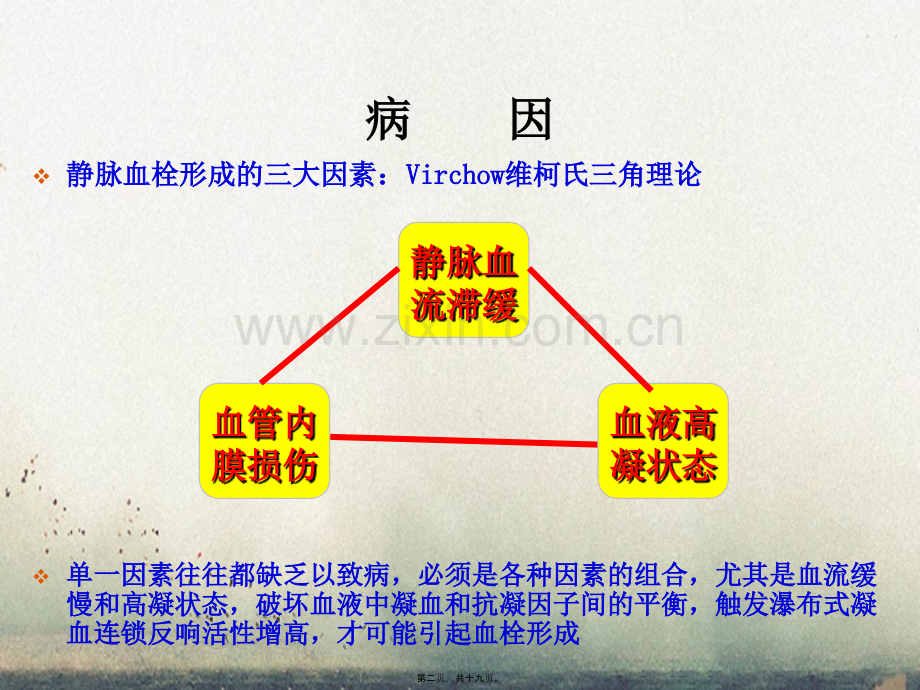 凝血与抗凝模板.pptx_第1页