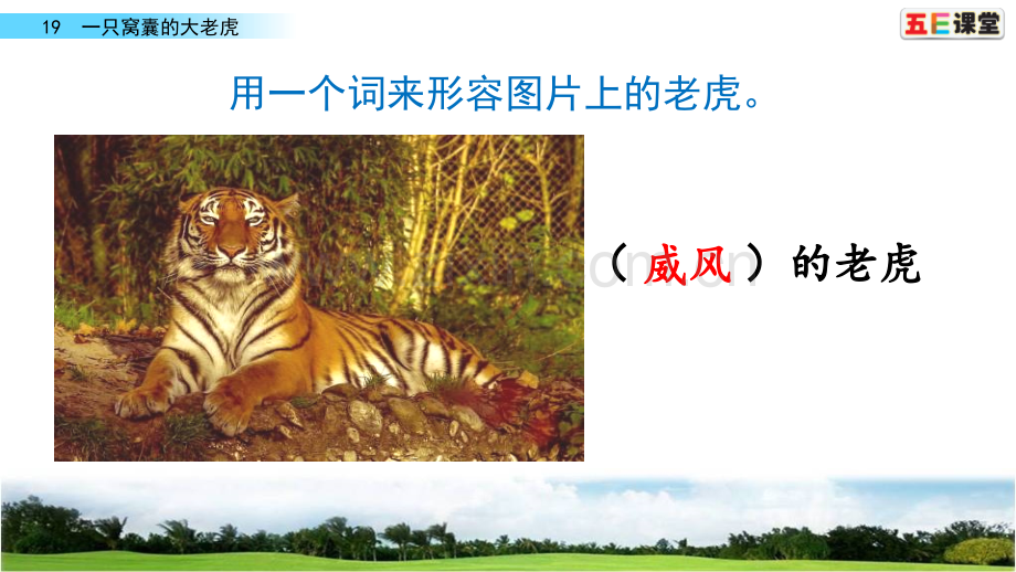 部编语文四年级上19-一只窝囊的大老虎.ppt_第1页