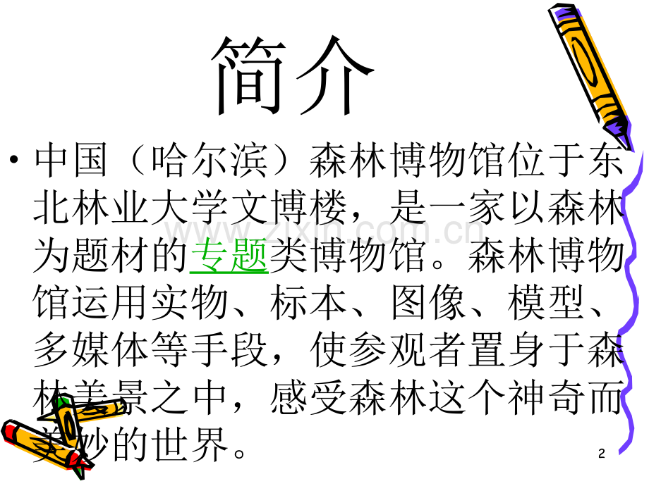 林大博物馆.ppt_第2页
