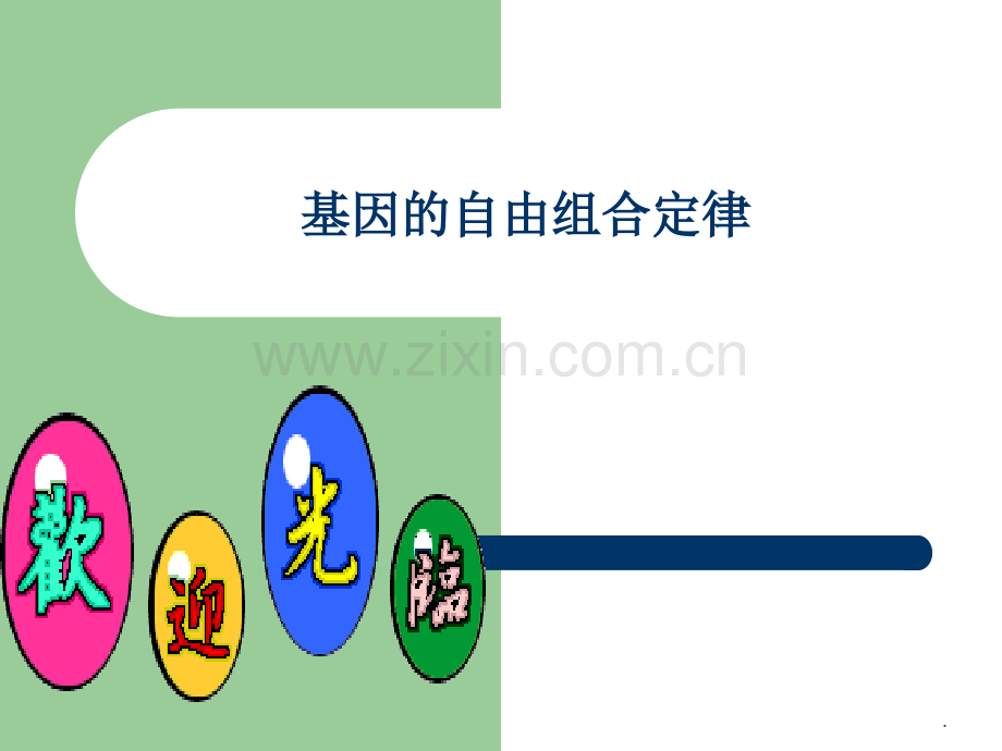 高三生物孟德尔遗传规律的再发现..ppt_第1页