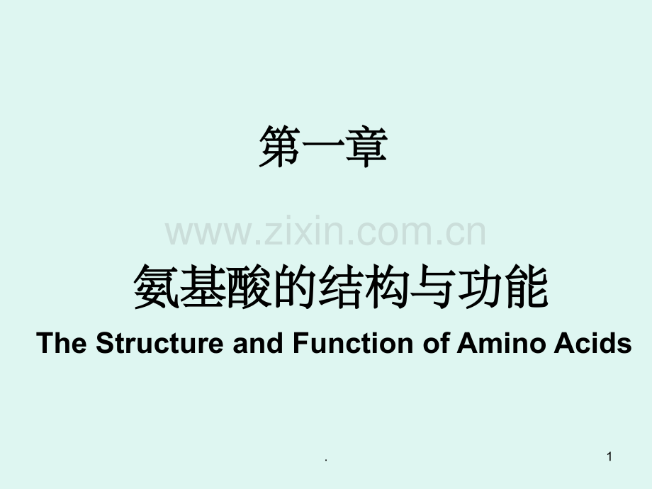 氨基酸的结构和功能.ppt_第1页