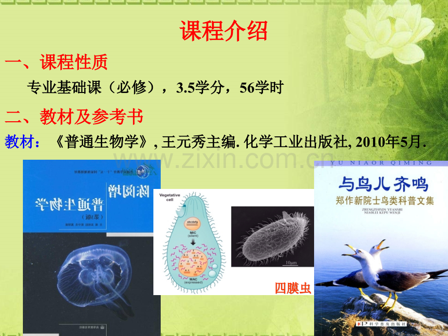 普通生物学-绪论.ppt_第2页