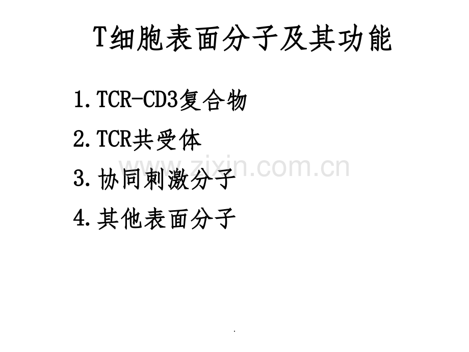 T细胞分类.ppt_第1页