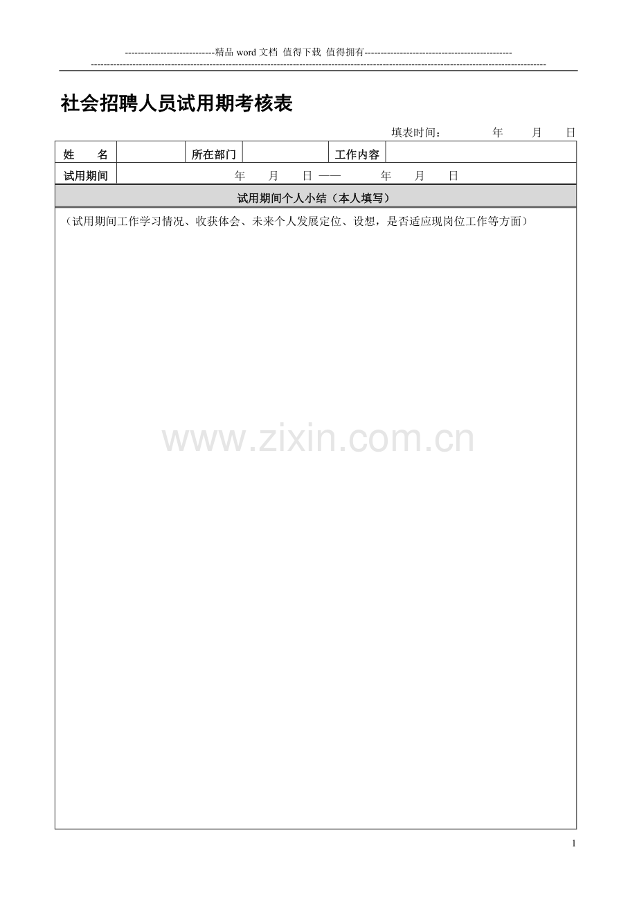 社会招聘人员试用期考核表..doc_第1页
