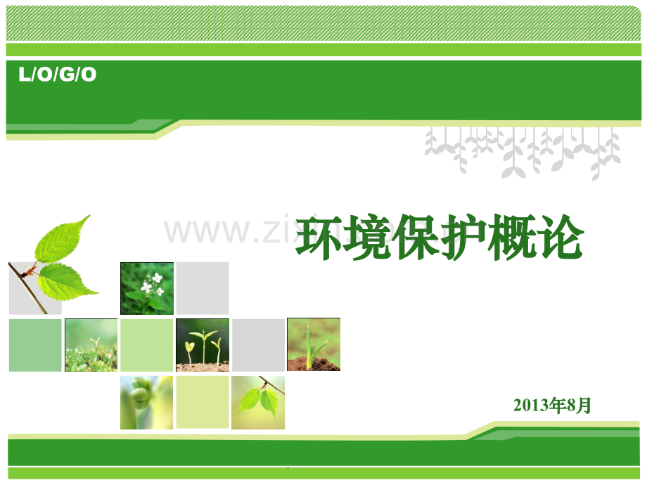 环境保护概论.ppt_第1页
