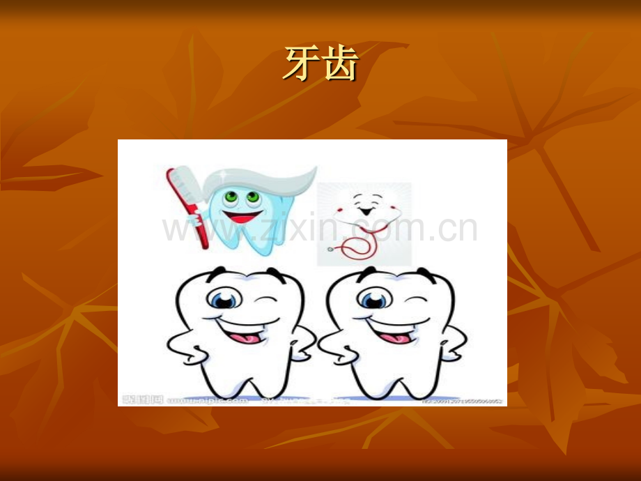 幼儿园大班科学活动认识牙齿.ppt_第2页