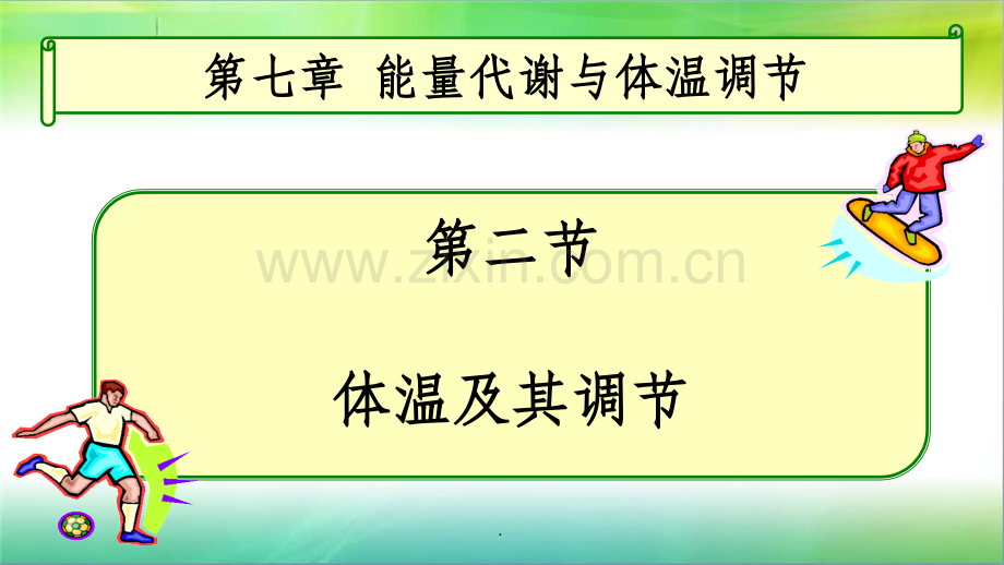人体的体温调节.ppt_第1页