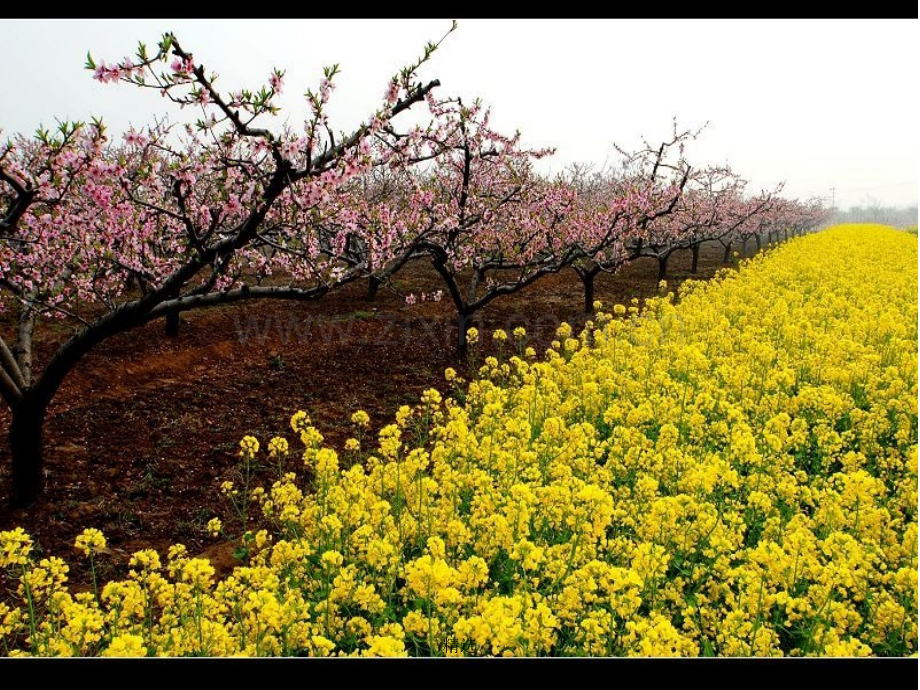 人教版小学语文二年级下册第1课《找春天》完整1.ppt_第2页