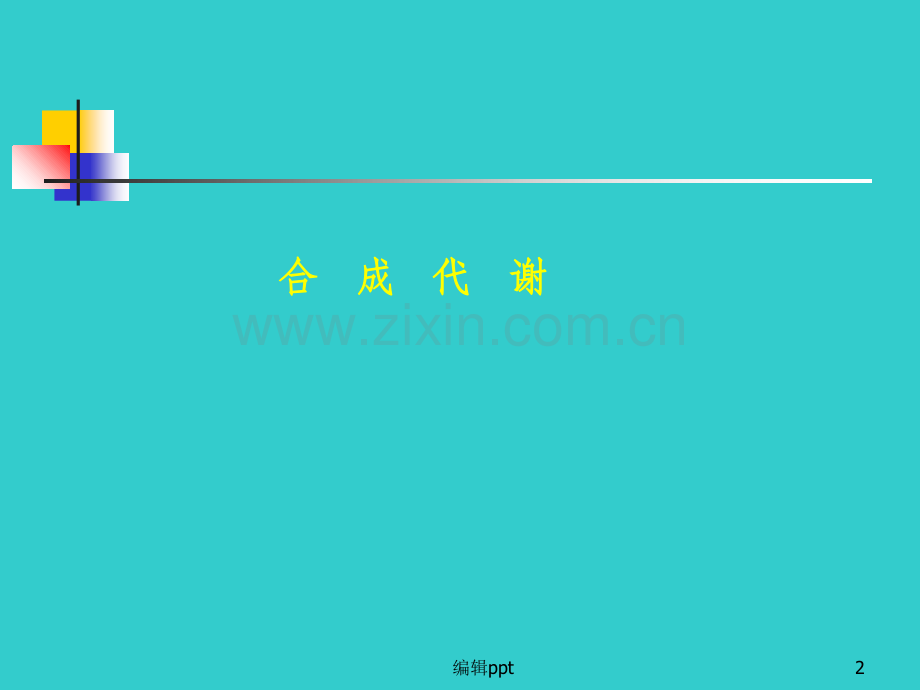 基础生物化学第十三章核苷酸代谢.ppt_第2页