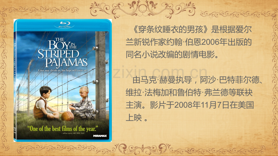 影视鉴赏穿条纹睡衣的男孩.ppt_第2页