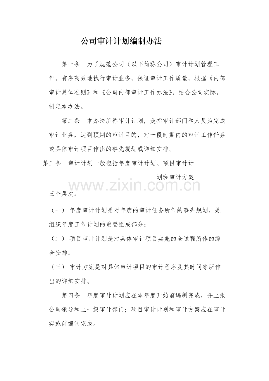 国有公司审计计划编制办法-模版.docx_第1页