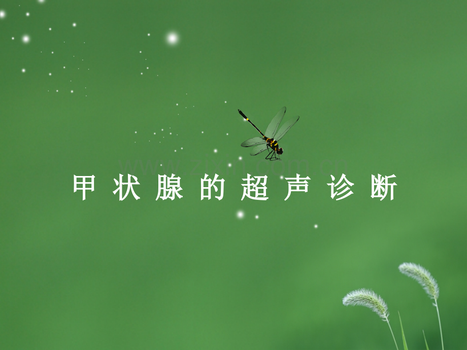甲状腺的超声诊断.ppt_第1页