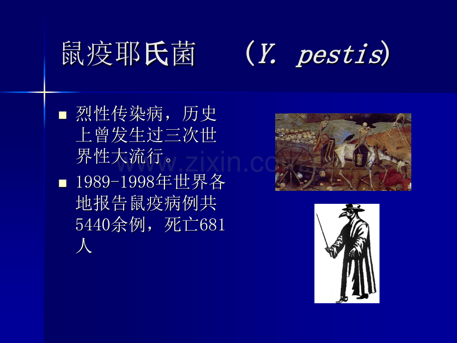 鼠疫的教案.ppt_第1页